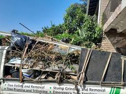 Best Recycling Services for Junk  in , FL